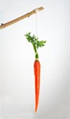 Running behind a carrot can provide motivation